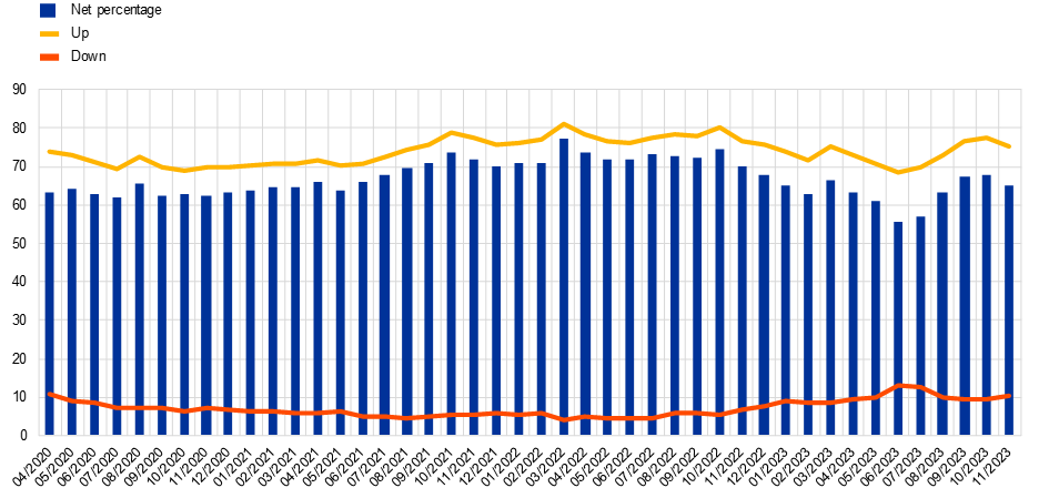 Inflation perceptions and expectations
